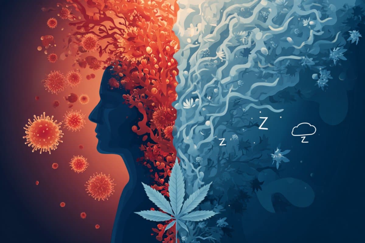 Top CBD Gummies for Anxiety, Sleep, and Pain Relief in 2025