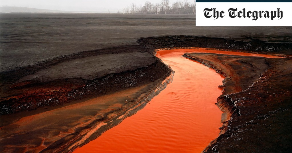 Featured image for "Edward Burtynsky on Oil Protests: Museums Disrespected"
