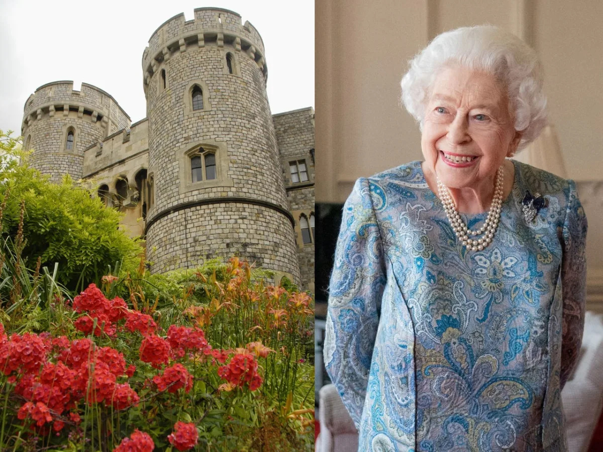 Featured image for Apology Letter from Windsor Castle Intruder to King Charles