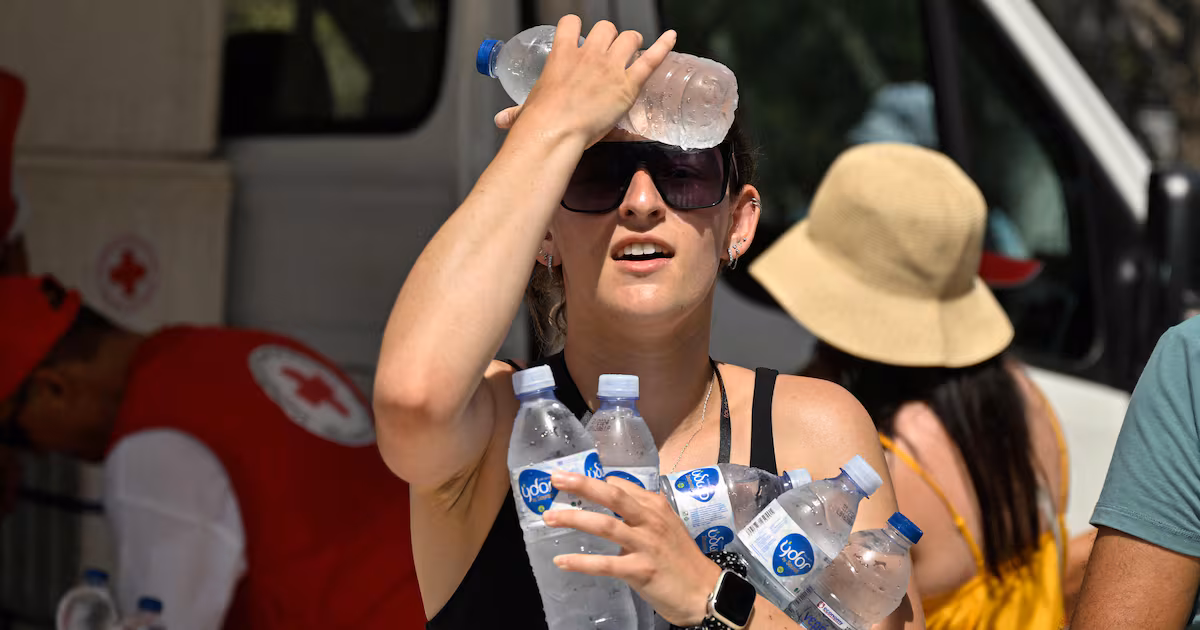 "Hot Weather's Impact on Immune System Function"