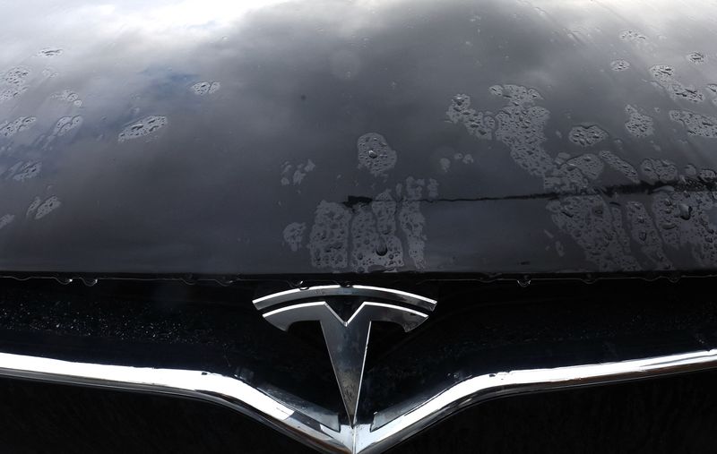 Tesla Faces Scandinavian Union Revolt as Strikes Spread and Shipments Halted