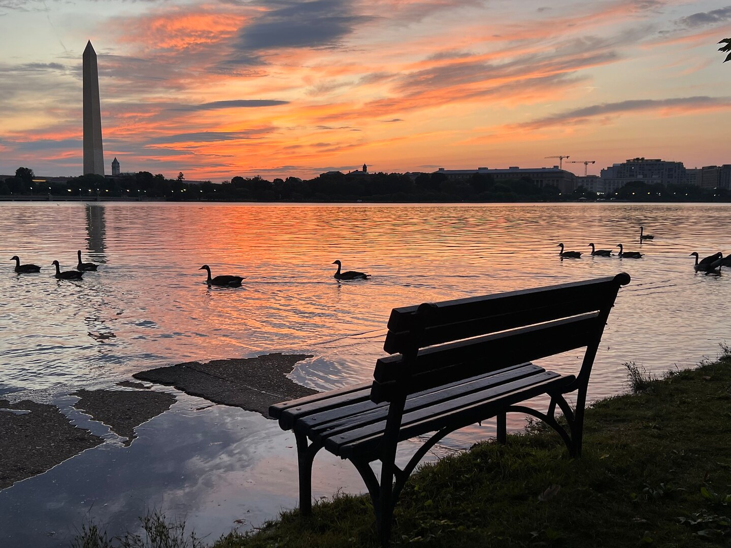 Featured image for Weather Update: Sunny and Warmer End to Work Week with Gusty Winds Easing.