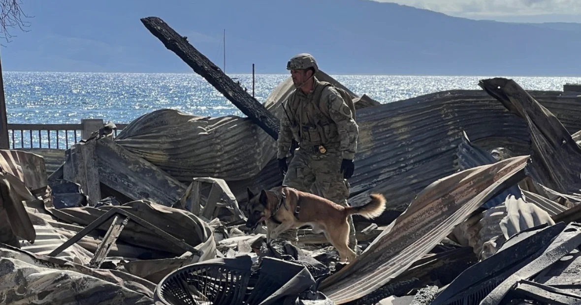 Hawaiian Electric's Value Plummets Amidst Maui Wildfires and Legal Troubles