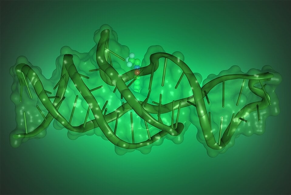 Featured image for DNA's complex folding enables new functions.