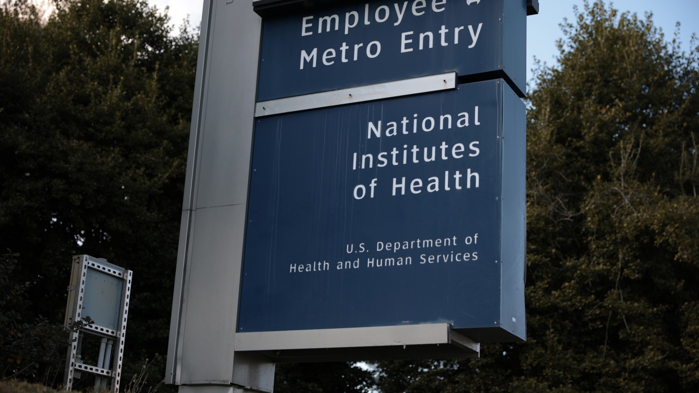 NIH Scientists Protest Trump’s Public Health Cuts