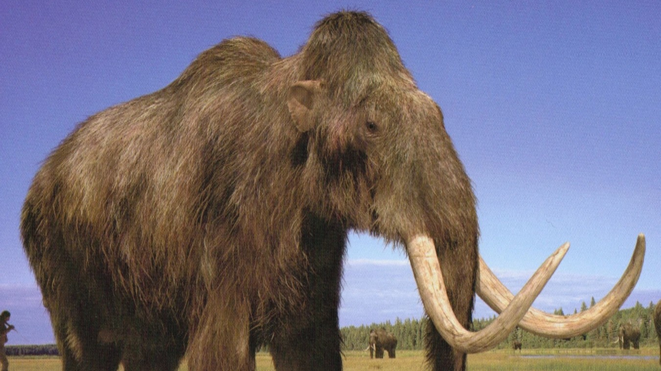 "Reviving the Woolly Mammoth: A Scientific Breakthrough"