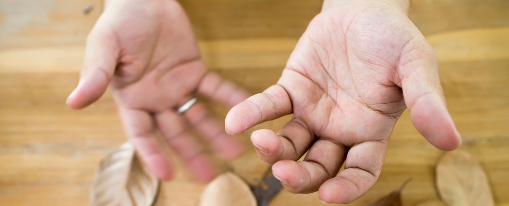 The Gut-Brain Connection in Neurodegenerative Diseases: Insights and Discoveries.