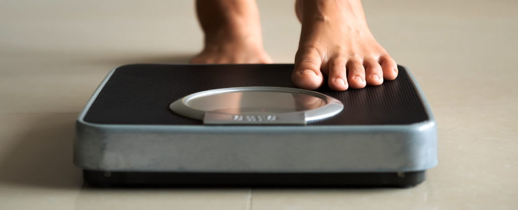 "Brain Cell Shape Changes Linked to Middle-Age Obesity"