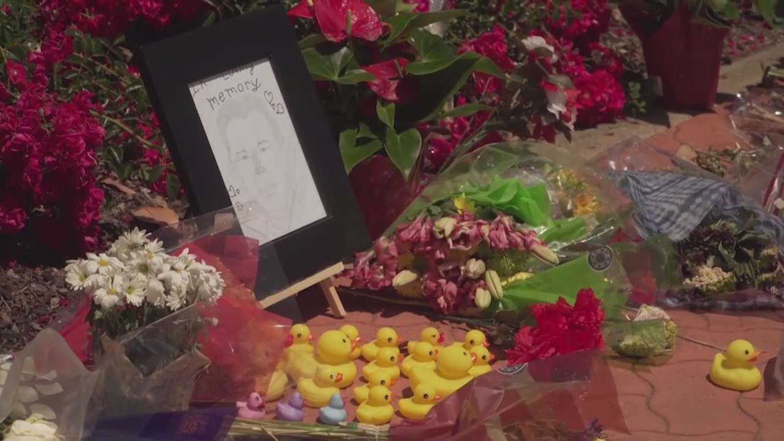 Good Samaritan killed while assisting ducks across California road