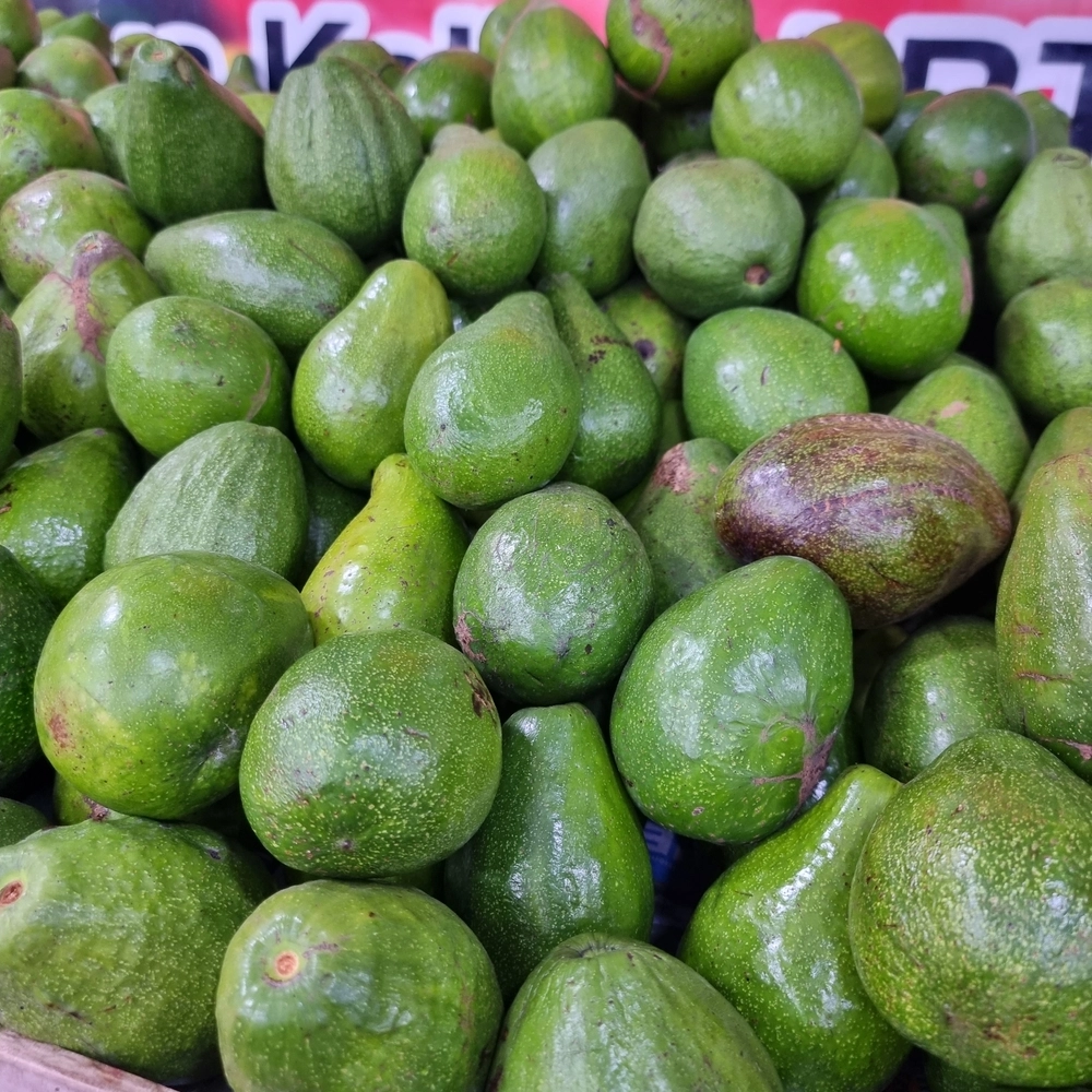 Featured image for "Challenges and Opportunities for Mexico's Avocado Industry in the US Market"