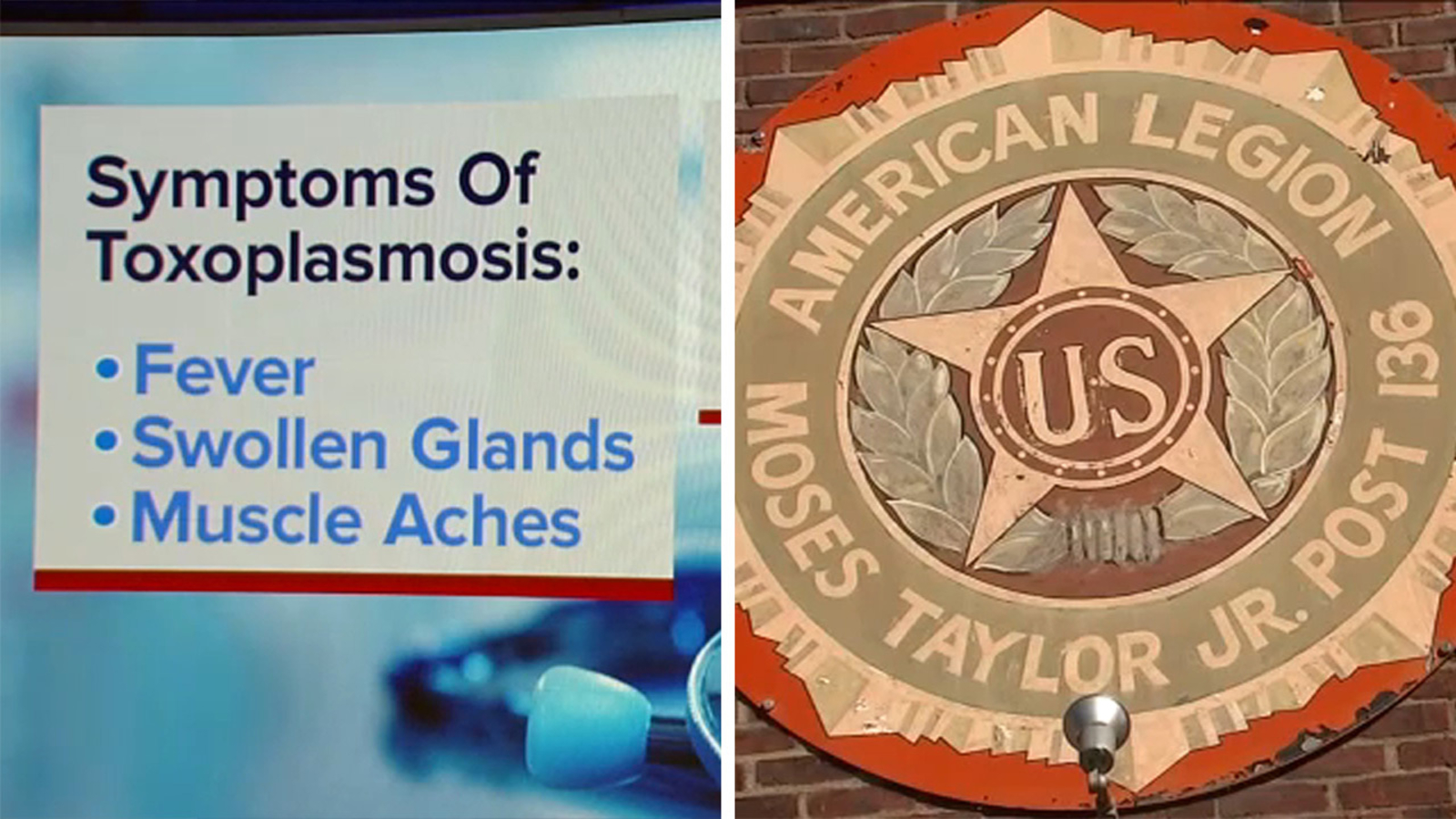 Featured image for "Health Alert: Parasitic Exposure Linked to American Legion Post Game Dinners in Westchester County"