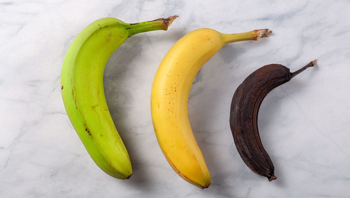 The Science Behind Bananas Turning Brown and How to Prevent It