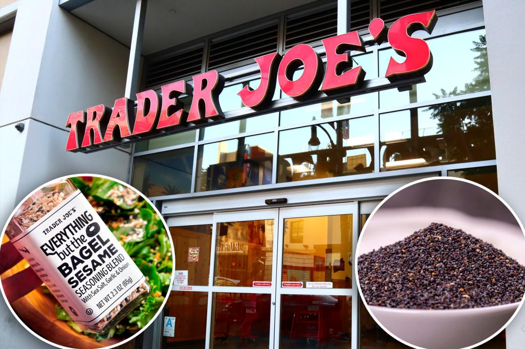 Trader Joe's Everything Bagel Seasoning Banned in South Korea