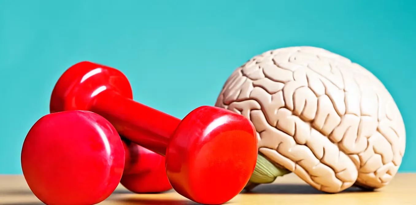 Brain Training That Works: Novelty, Rest, and Exercise to Boost Cognition
