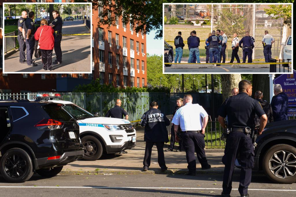 13-year-old boy dies after being shot at NYC playground, suspect in custody.