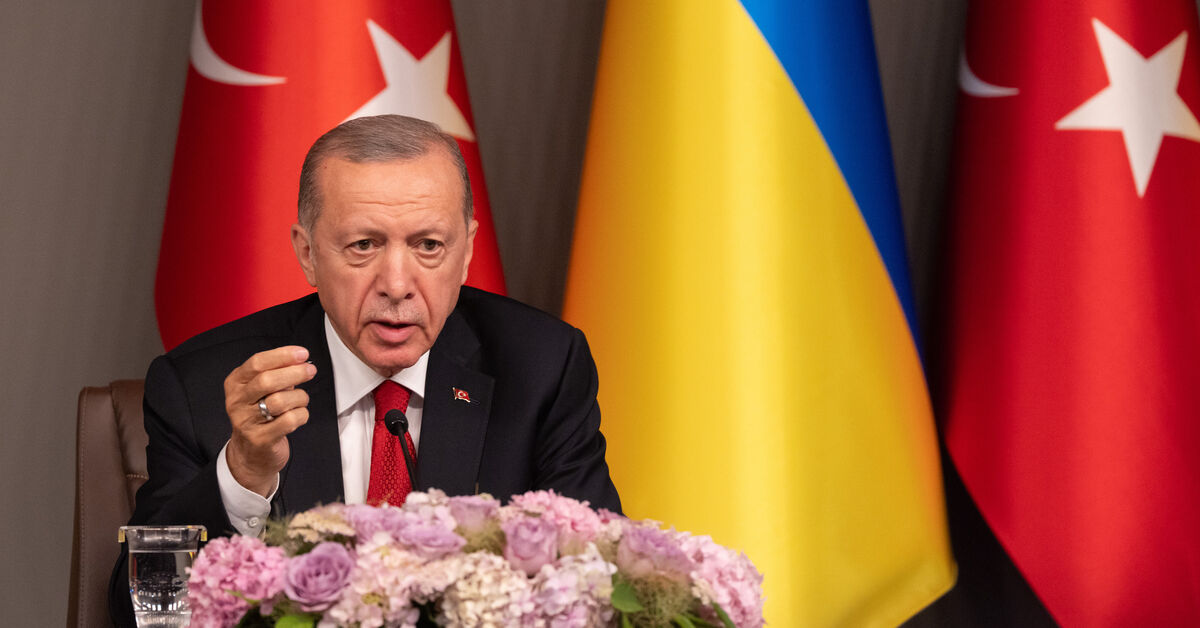 Turkey Supports Sweden's NATO Membership, Raising Questions on Alliance Expansion