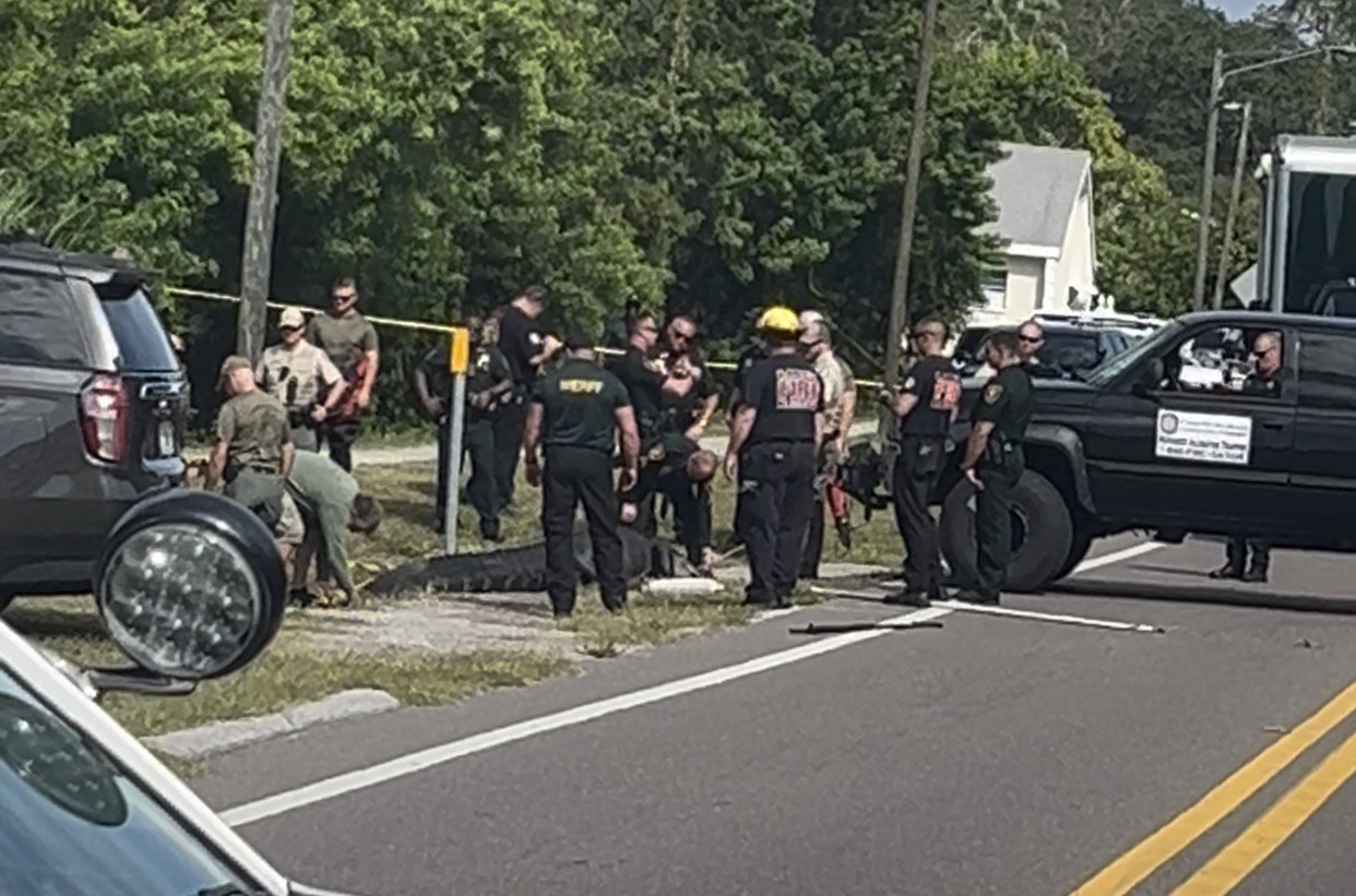 Florida Alligator Attacks: Victim Identified and Predator Caught