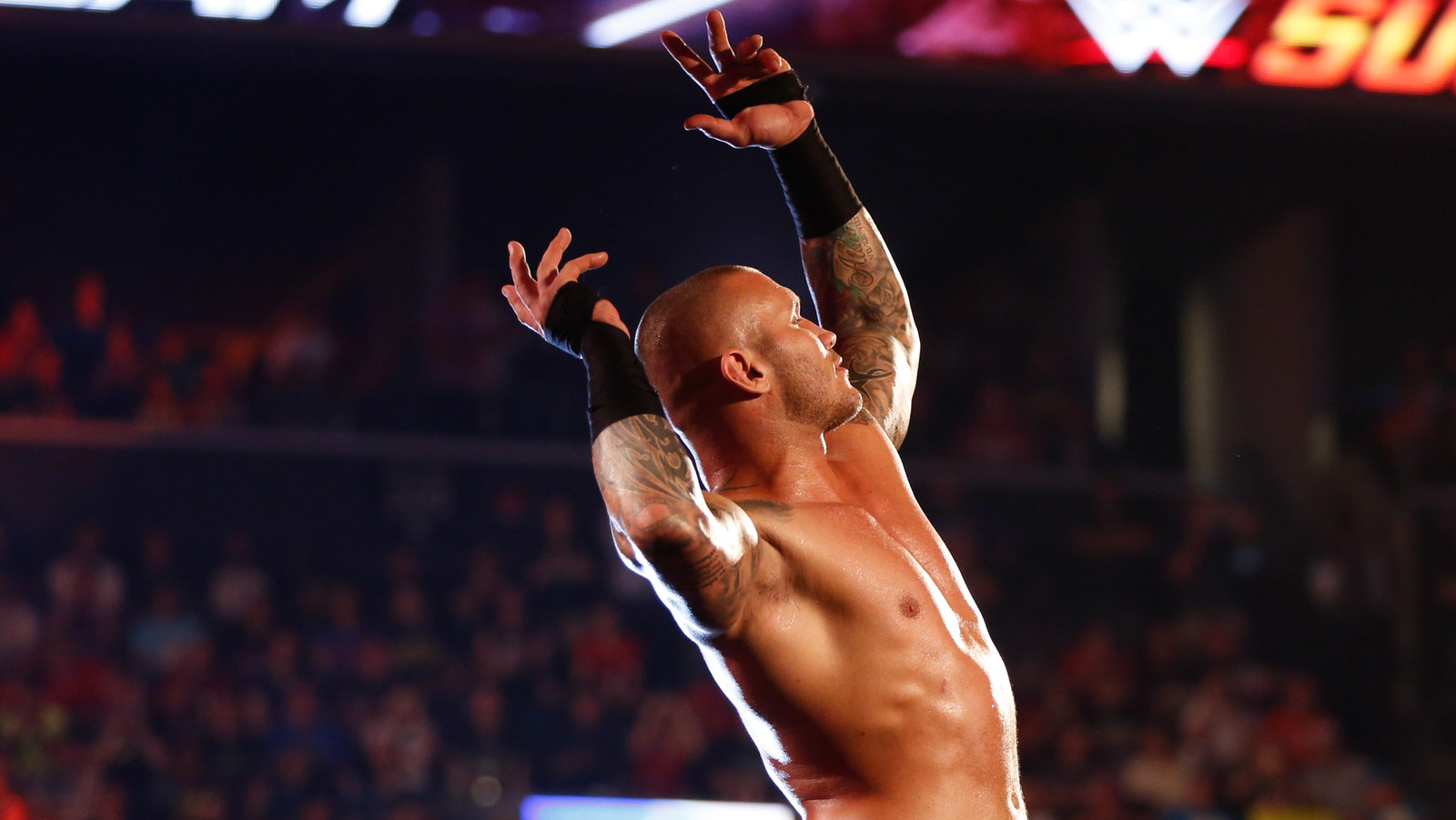 Randy Orton Commits to 10 More Years in Wrestling After WWE Survivor Series