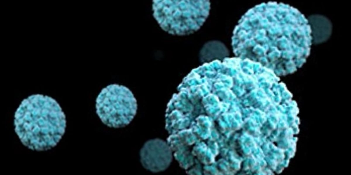 "Wausau Area Reports Highest Norovirus Levels in the Country, Health Department Says"