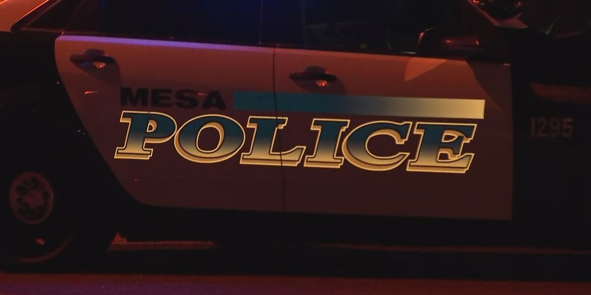 Police Shootings: Suspects Killed in Standoffs and Pursuits