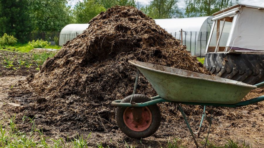 "California Man's $8.7 Million Cow Manure Ponzi Scheme Lands Him 6+ Years in Prison"