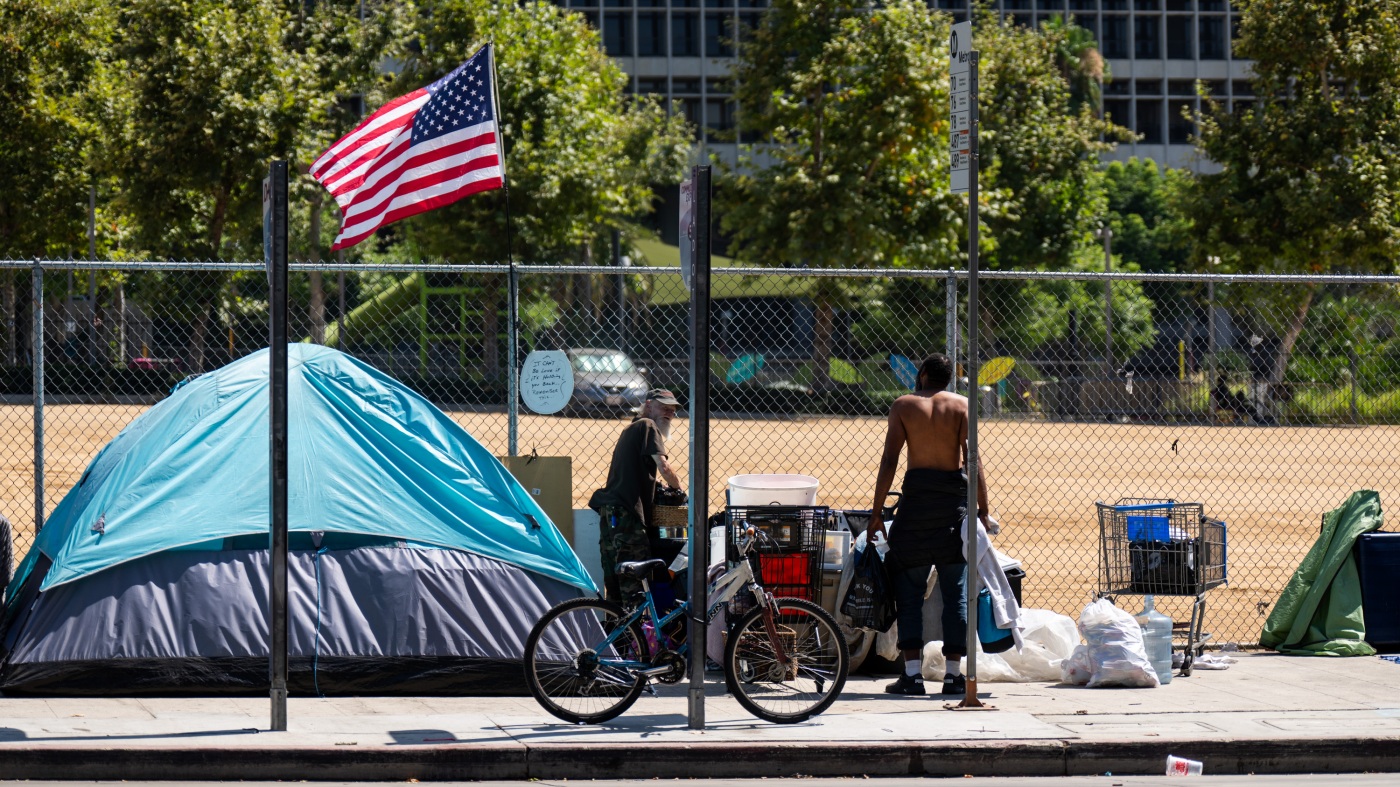Trump's Homelessness Plan Sparks Controversy and Skepticism