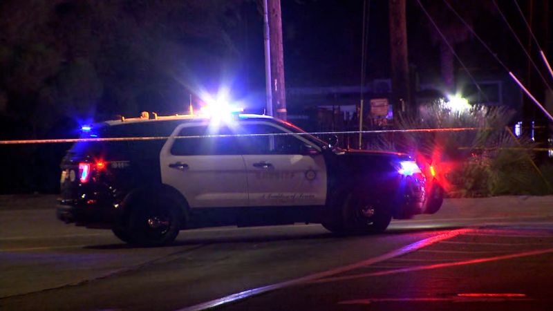Tragic Ambush: L.A. County Sheriff's Deputy Fatally Shot in Patrol Car