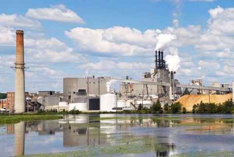 Fungal Outbreak Strikes Michigan Paper Mill Workers