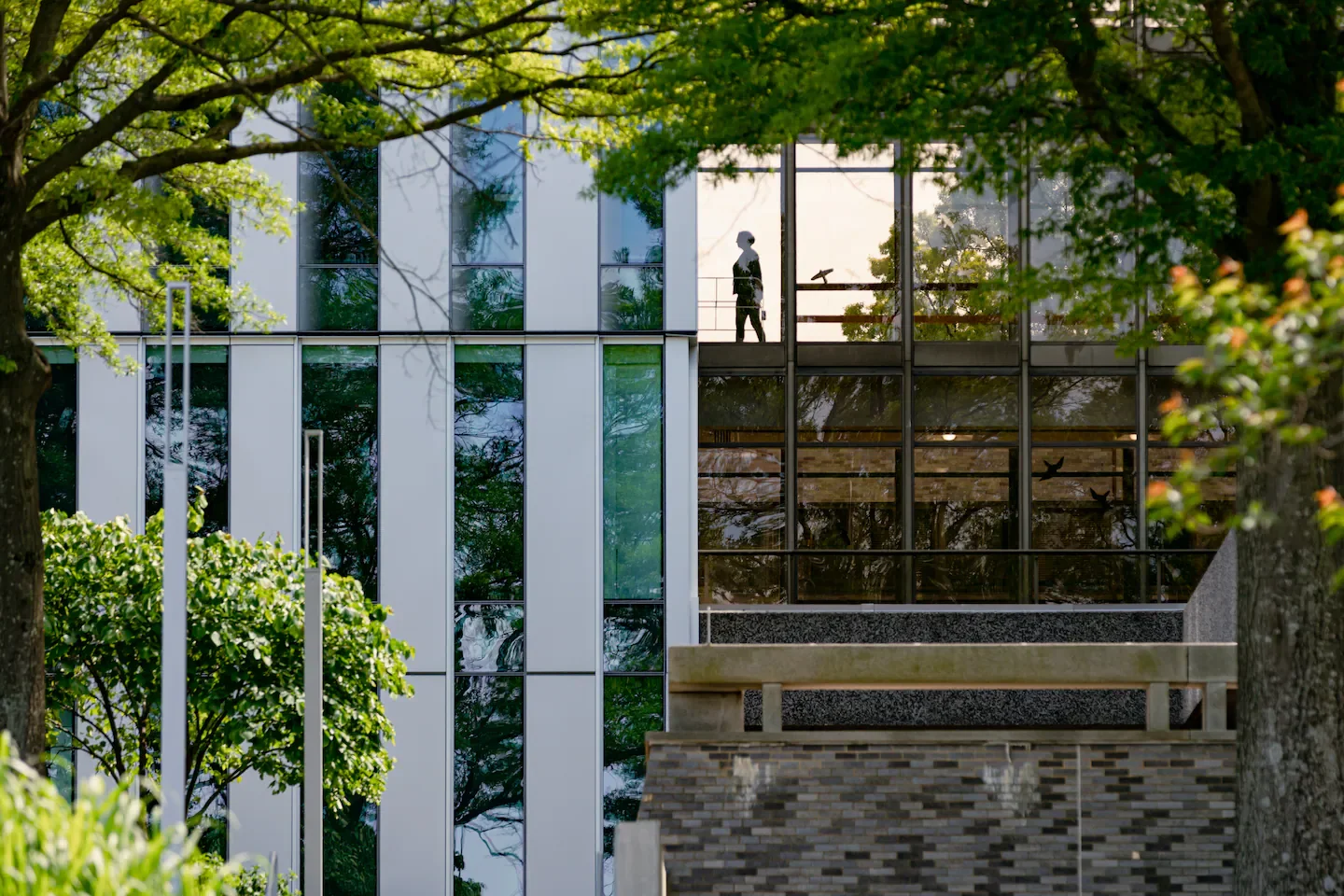 Featured image for Trump Proposal to Cut Disability Benefits for Seniors