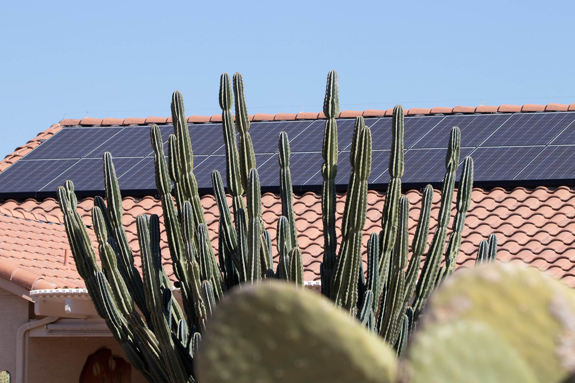 Featured image for Arizona Contemplates Controversial Shift in Rooftop Solar Rates
