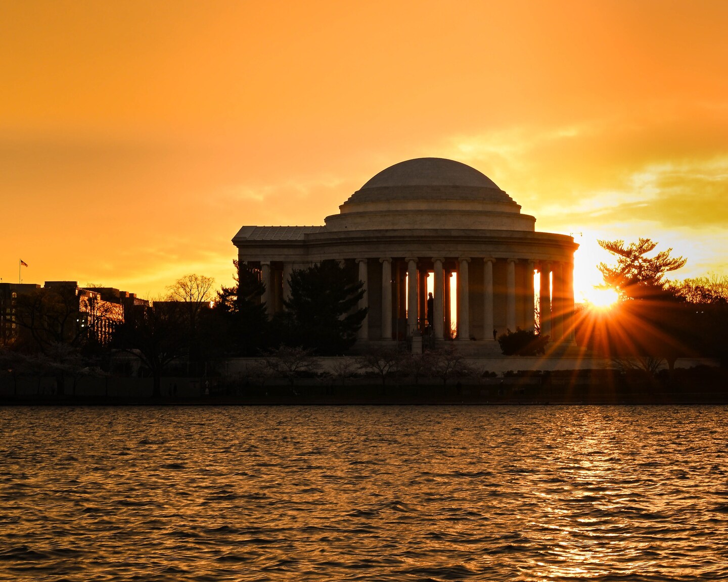 Featured image for "Rain Threatens Weekend Cherry Blossom Sightseeing in D.C. Area"