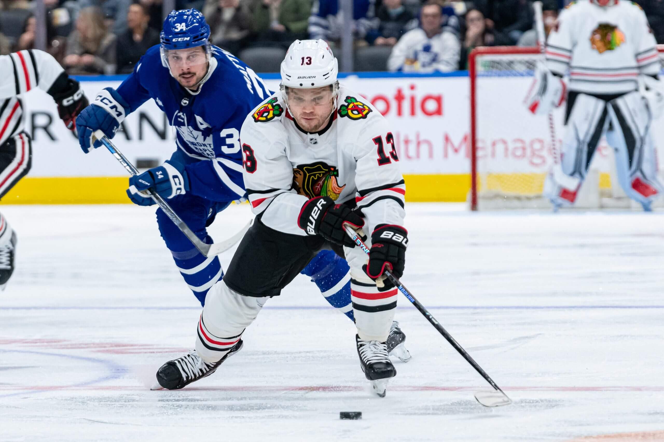 Maple Leafs Score Big with Max Domi Signing