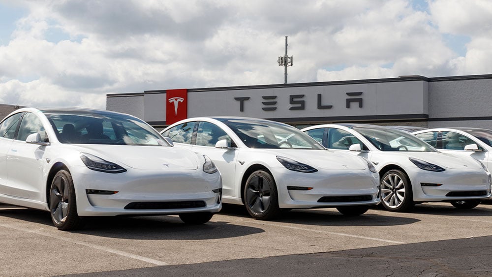 "Elon Musk Denies Reports as Tesla Stock Plummets Over $25,000 EV Rumors"