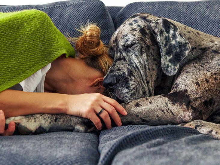 Featured image for "Sleep Apnea's Impact on Memory and Cognitive Function"