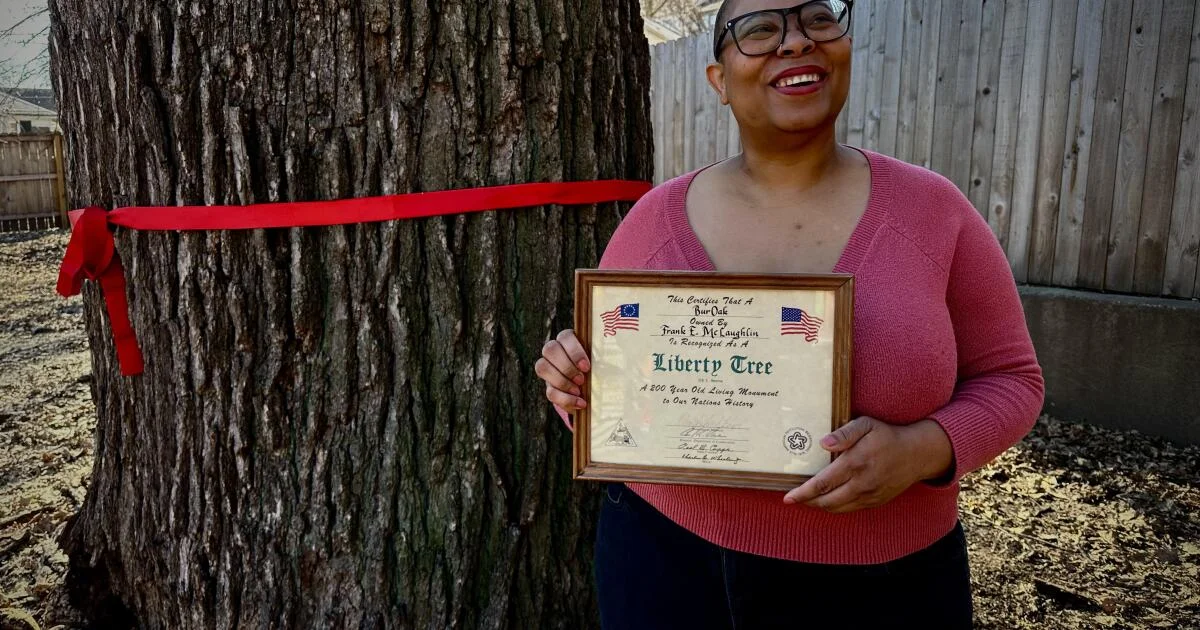 KC’s 250-Year-Old Liberty Tree to Come Down, Marking an End of an Era