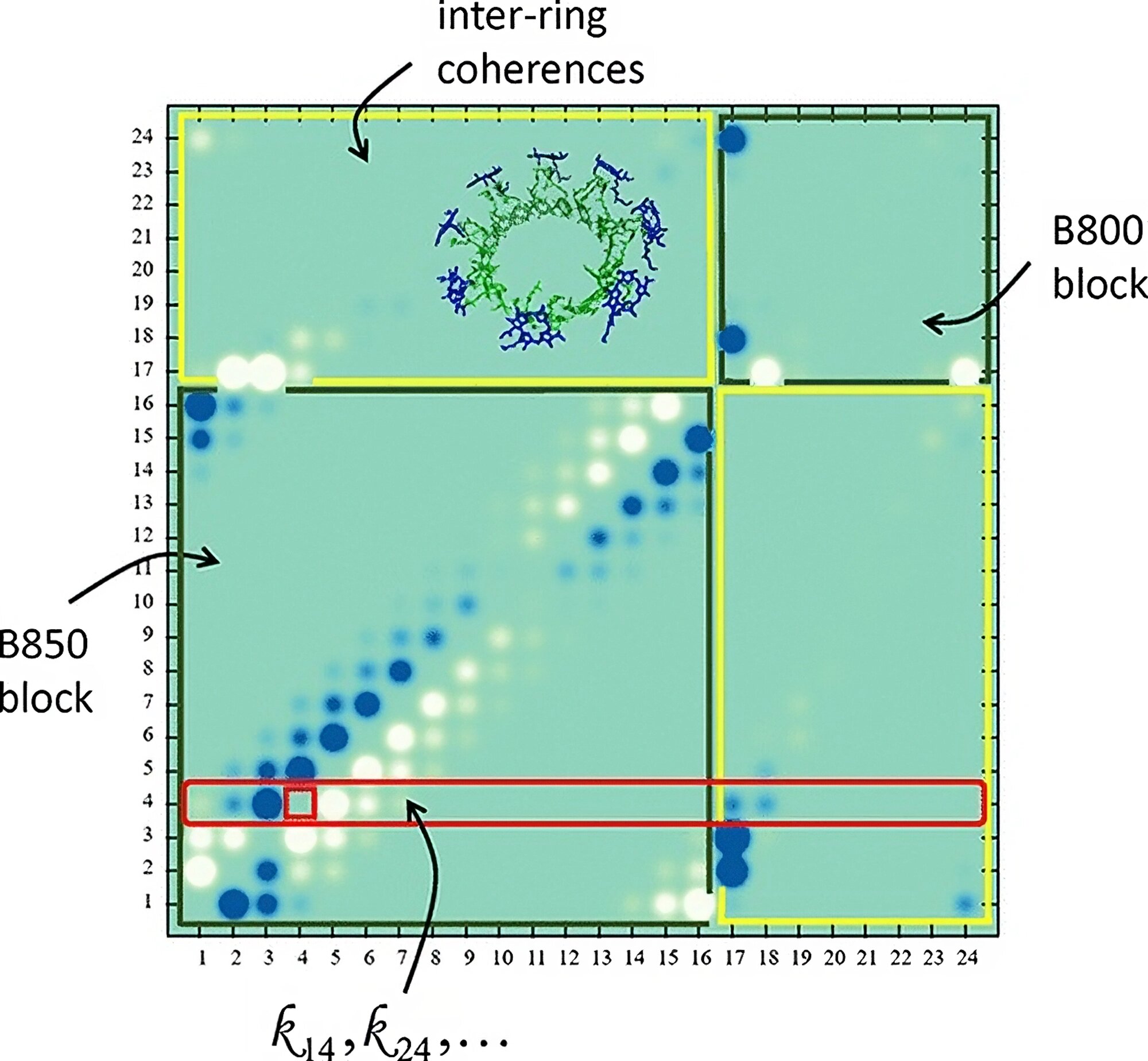 Featured image for "Revolutionary Quantum Visualization Unlocks Secrets of Photosynthesis"