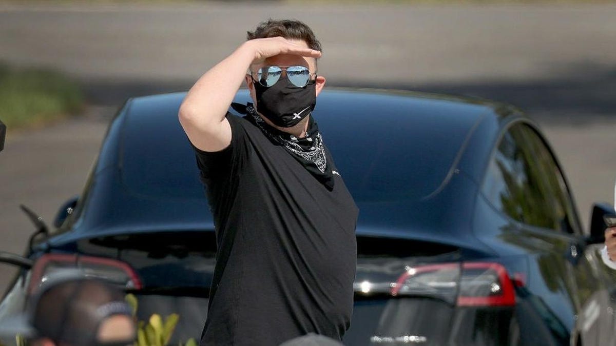 Florida Principal Loses $100k to Elon Musk Impersonator Scam