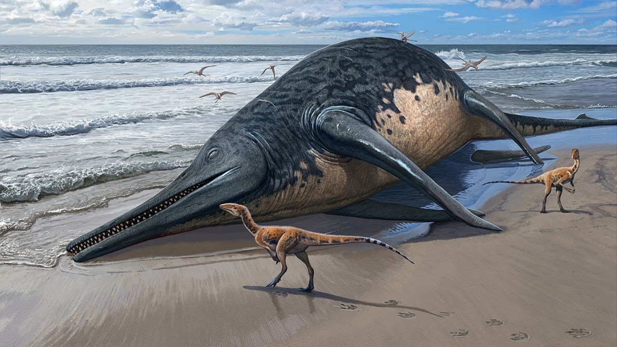 "Massive Marine Reptile Unearthed on UK Beach Could Rewrite History"