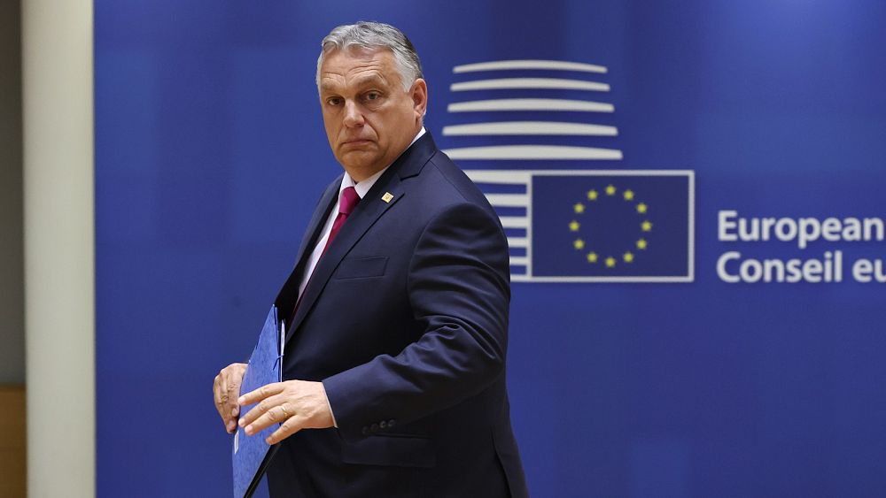 Doubts raised over Hungary's ability to fulfil EU Council presidency tasks.