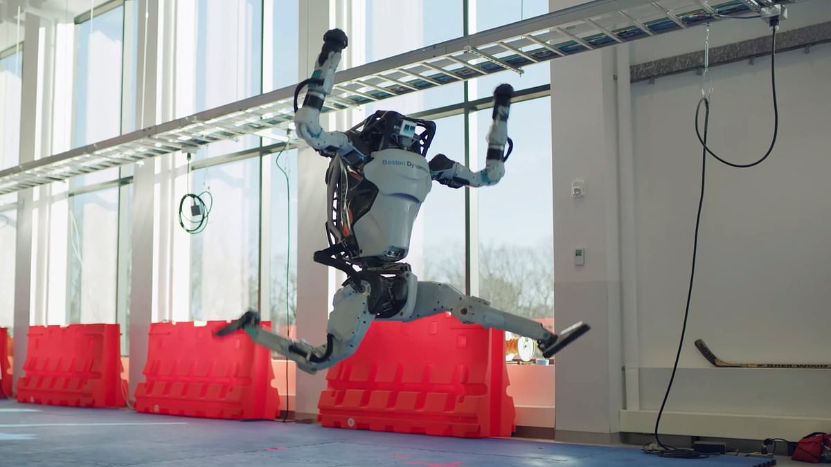"Robotic Revolution: Gourmet Cooking, Sparkling Homes, and 24/7 Surveillance"