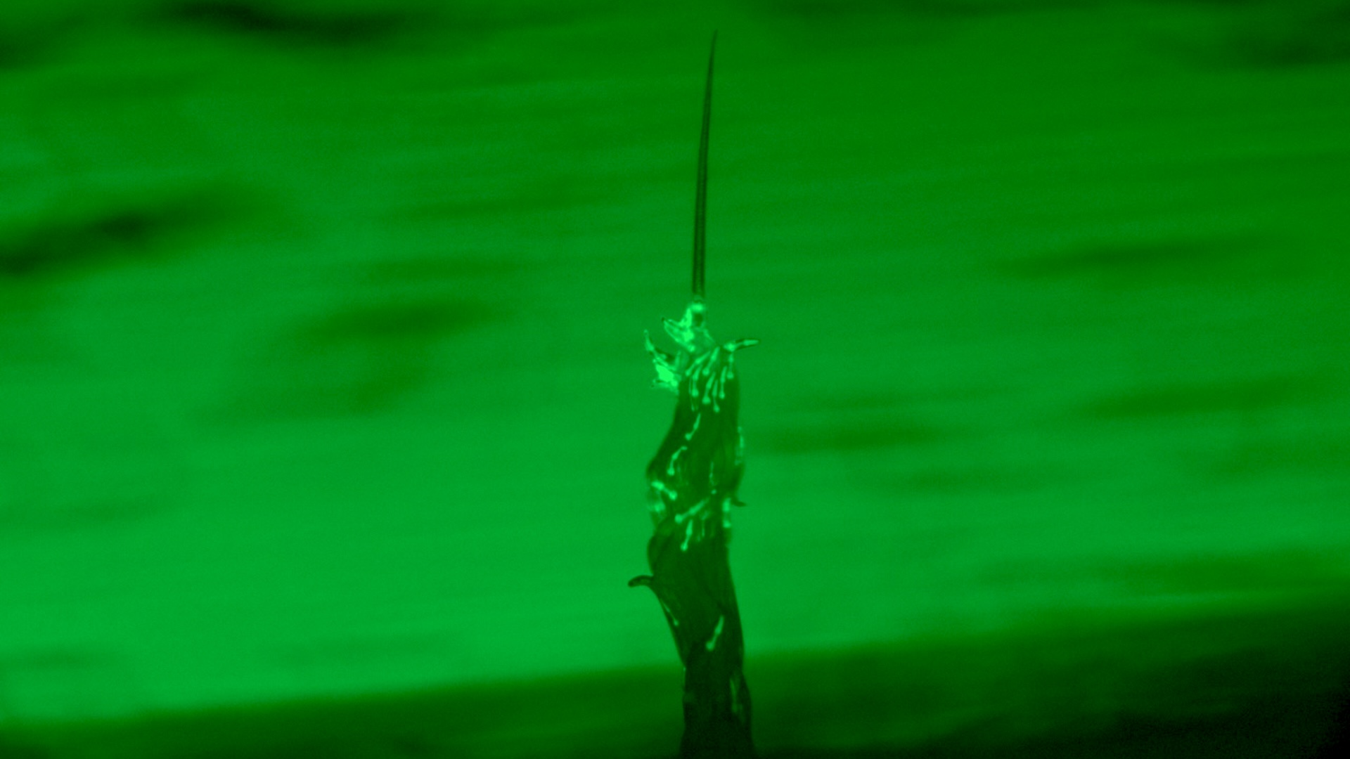 Featured image for Wild Worm Towers: The First Natural Observation of a Superorganism