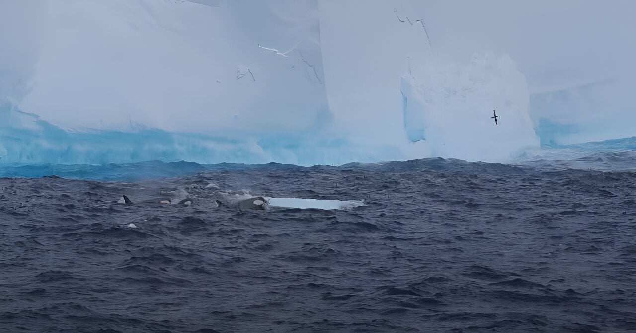 Featured image for "Rapid Erosion: New Animation Reveals Earth's Largest Iceberg's Last Voyage"