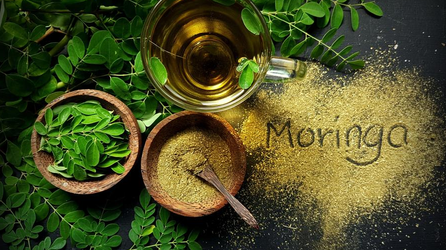 Featured image for "The Power of Moringa: Unveiling Its Benefits, Side Effects, and Risks"