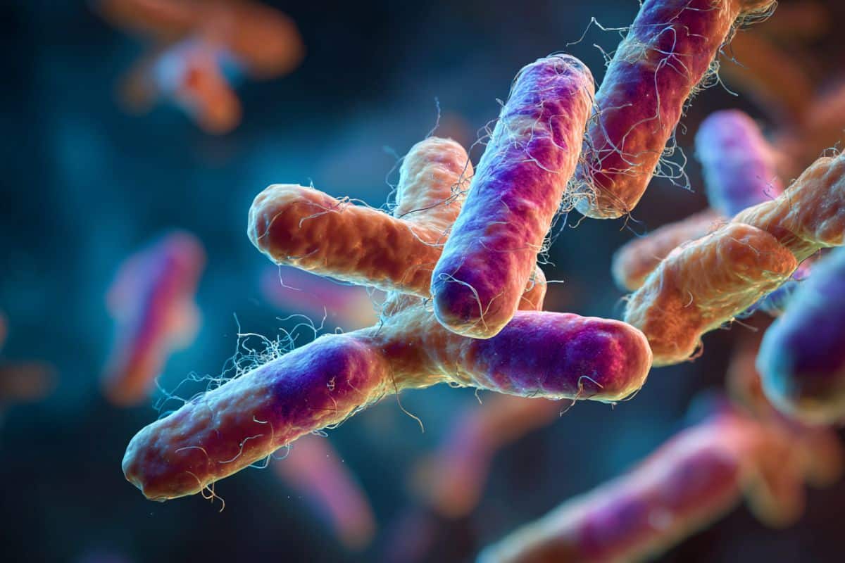 Featured image for Oral Bacteria Linked to Increased Disability in Multiple Sclerosis Patients