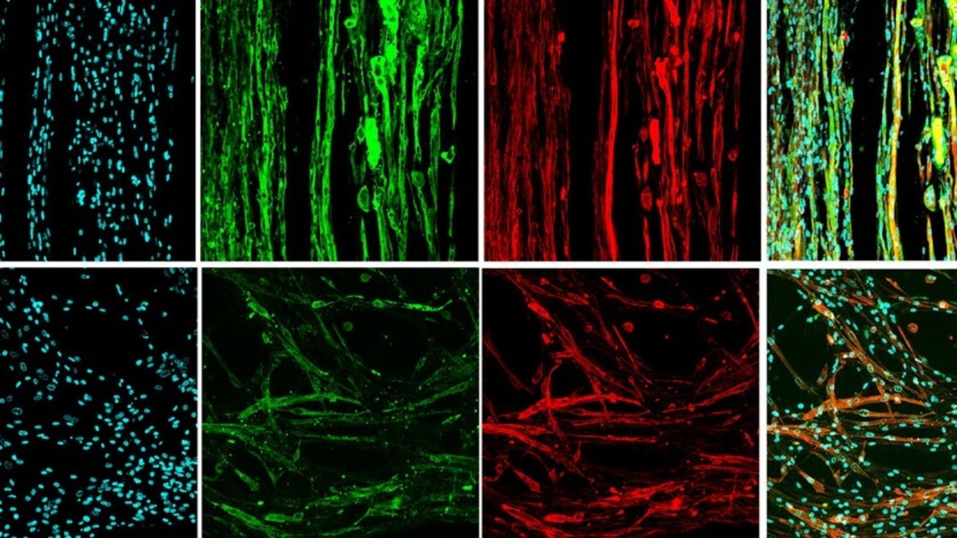 Featured image for Breakthroughs in Space-Enabled Medical and Manufacturing Technologies