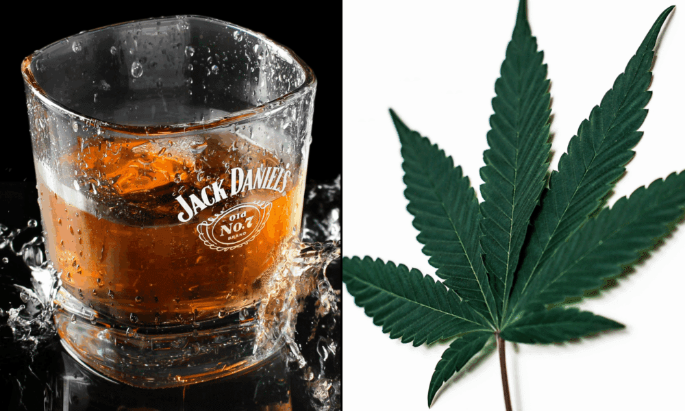 Featured image for Cannabis and Wellness Trends Challenge Traditional Liquor Sales, Says Brown-Forman CEO