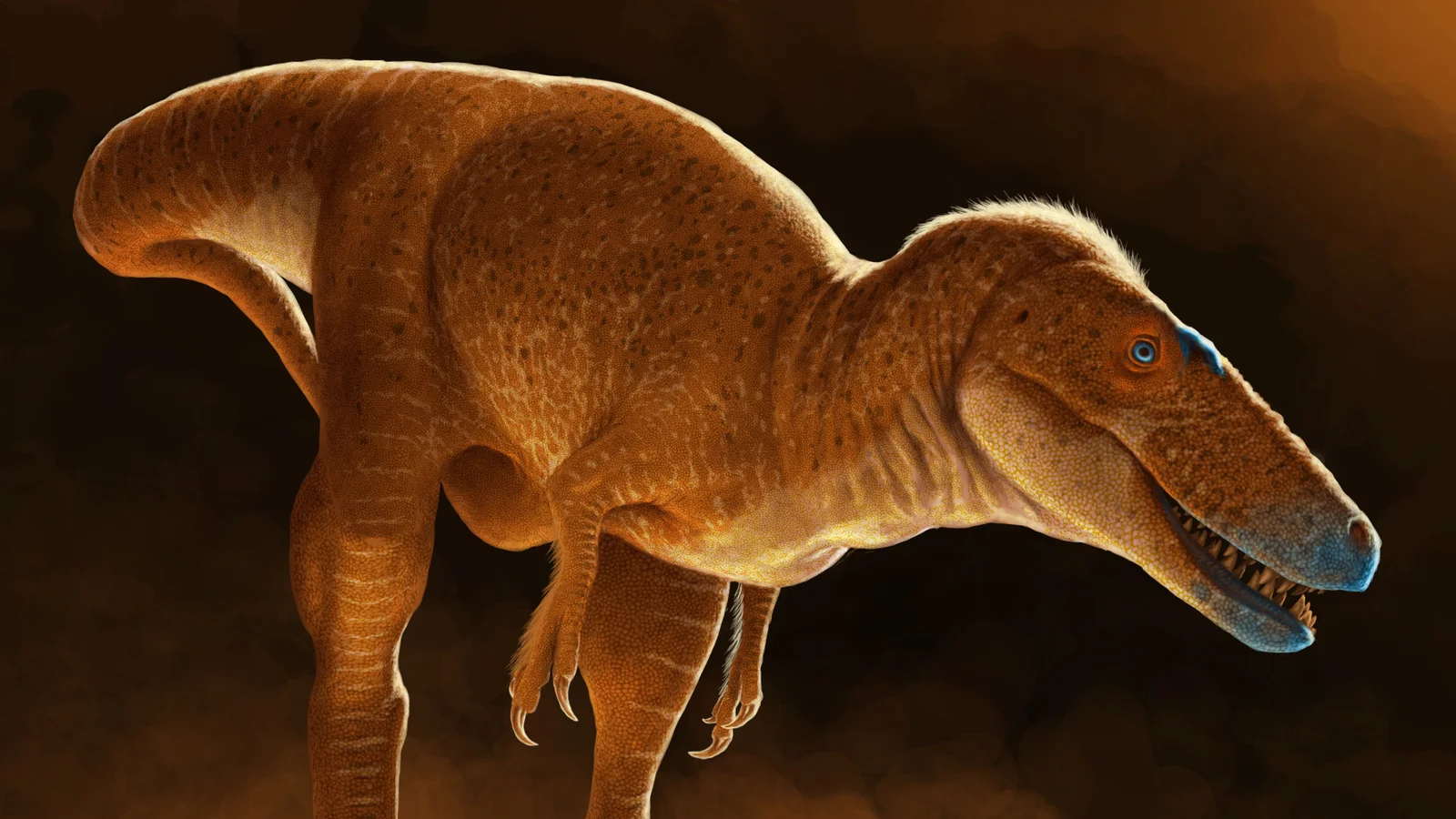 New Dinosaur Species Reshapes Tyrannosaur Family Tree