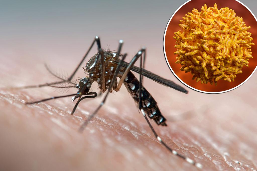 Featured image for Yellow Fever Resurgence: Is the US Ready?