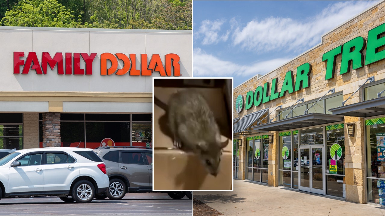 Featured image for "Family Dollar Agrees to $42 Million Settlement for Rodent-Infested Warehouse"