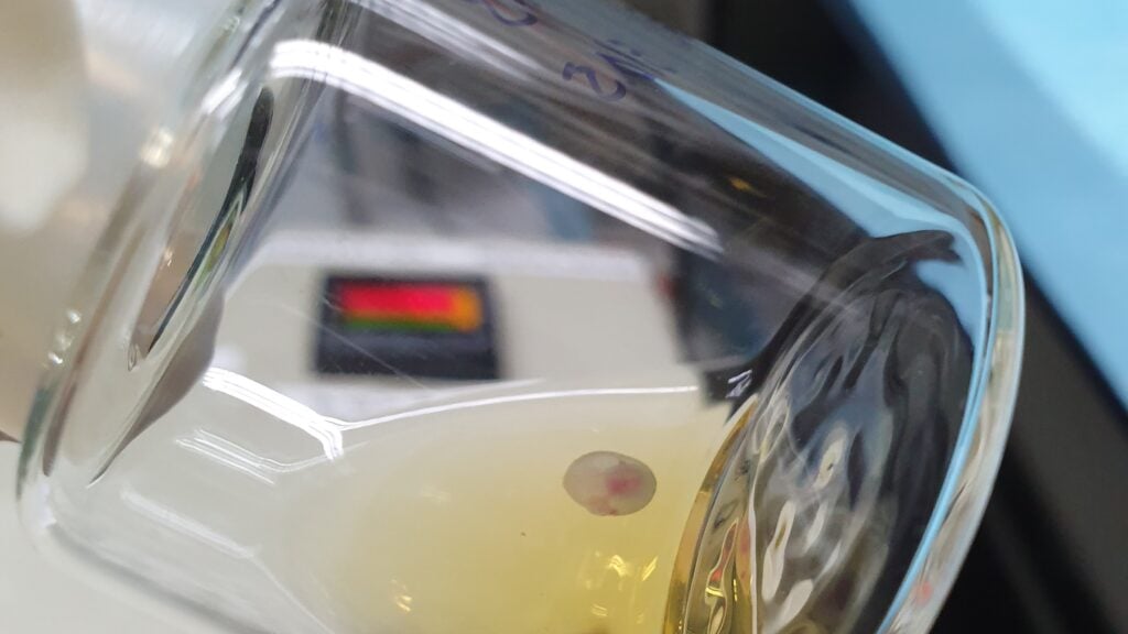 Featured image for Unveiling the Secrets of Human Embryonic Development: Stem Cell Breakthroughs